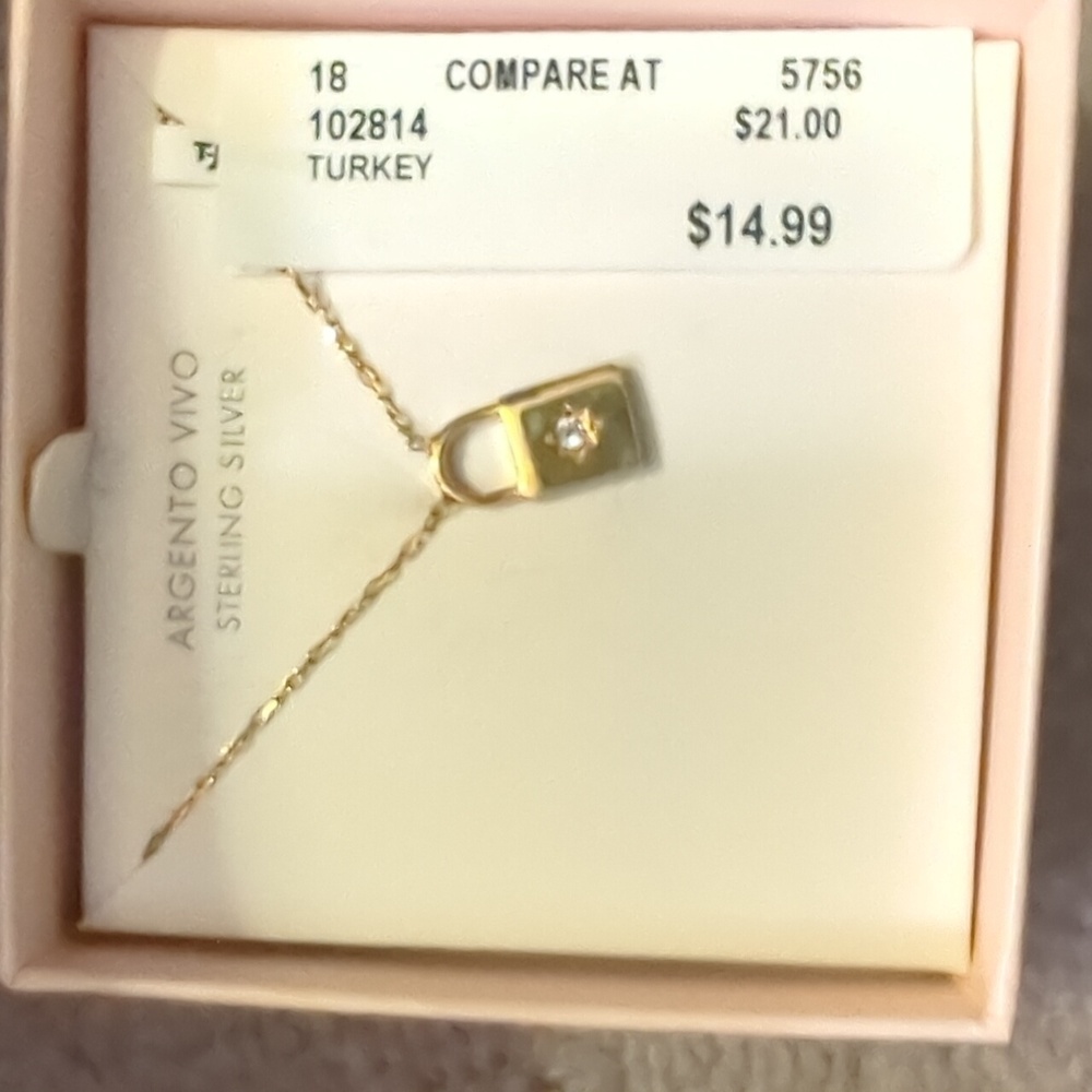 Cute little padlock necklace